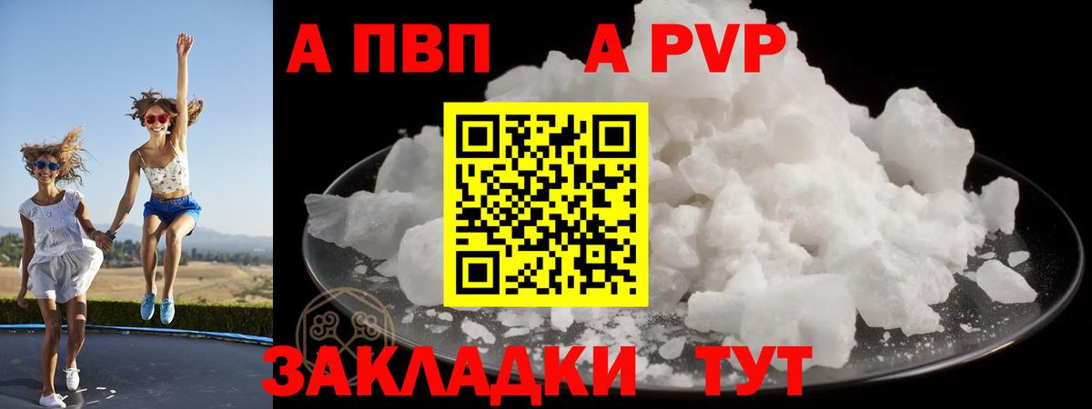 Альфа ПВП СК Рязань