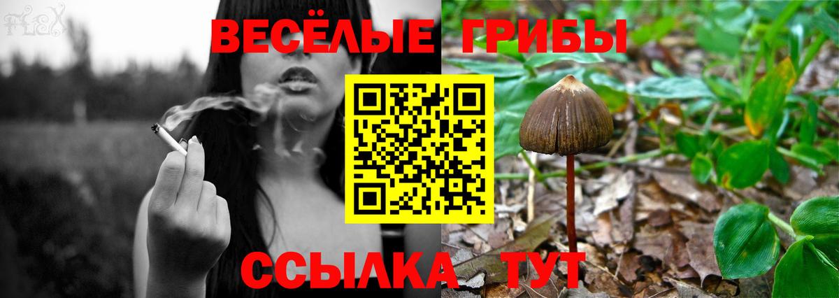 Галлюциногенные грибы мухоморы Рязань