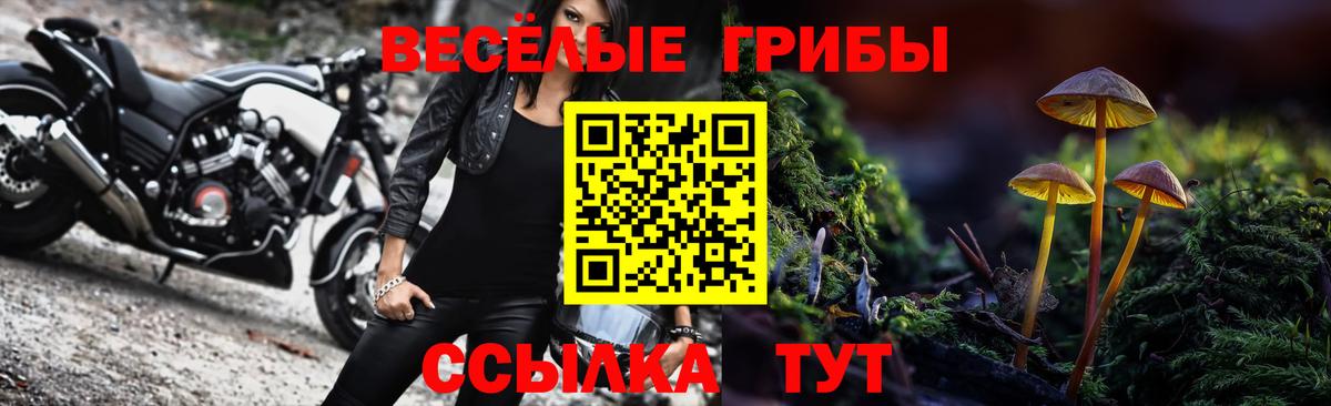 Галлюциногенные грибы GOLDEN TEACHER  Галлюциногенные грибы ЛСД  Вход с VPN  даркнет сайт  Рязань 